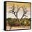 Awesome South Africa Collection Square - Dead Acacia Tree at Sunset-Philippe Hugonnard-Framed Stretched Canvas