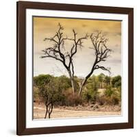 Awesome South Africa Collection Square - Dead Acacia Tree at Sunset-Philippe Hugonnard-Framed Photographic Print