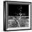 Awesome South Africa Collection Square - Dead Acacia Tree II B&W-Philippe Hugonnard-Framed Photographic Print