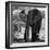 Awesome South Africa Collection Square - Elephant Portrait B&W-Philippe Hugonnard-Framed Photographic Print