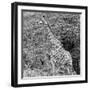 Awesome South Africa Collection Square - Giraffe in the Bush II-Philippe Hugonnard-Framed Photographic Print