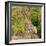 Awesome South Africa Collection Square - Giraffe in the Bush-Philippe Hugonnard-Framed Photographic Print