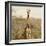 Awesome South Africa Collection Square - Giraffe Portrait-Philippe Hugonnard-Framed Photographic Print