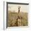 Awesome South Africa Collection Square - Giraffe Portrait-Philippe Hugonnard-Framed Photographic Print