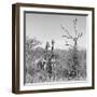 Awesome South Africa Collection Square - Giraffes in Savannah B&W-Philippe Hugonnard-Framed Photographic Print