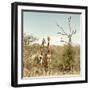 Awesome South Africa Collection Square - Giraffes in Savannah II-Philippe Hugonnard-Framed Photographic Print