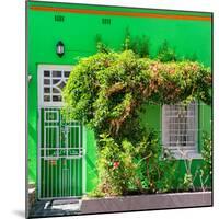 Awesome South Africa Collection Square - Green House - Cape Town-Philippe Hugonnard-Mounted Photographic Print