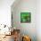 Awesome South Africa Collection Square - Green House - Cape Town-Philippe Hugonnard-Framed Stretched Canvas displayed on a wall