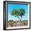 Awesome South Africa Collection Square - Green Tree Heart-Philippe Hugonnard-Framed Photographic Print