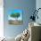 Awesome South Africa Collection Square - Green Tree Heart-Philippe Hugonnard-Photographic Print displayed on a wall
