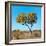 Awesome South Africa Collection Square - Green Tree Heart-Philippe Hugonnard-Framed Photographic Print