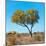 Awesome South Africa Collection Square - Green Tree Heart-Philippe Hugonnard-Mounted Photographic Print