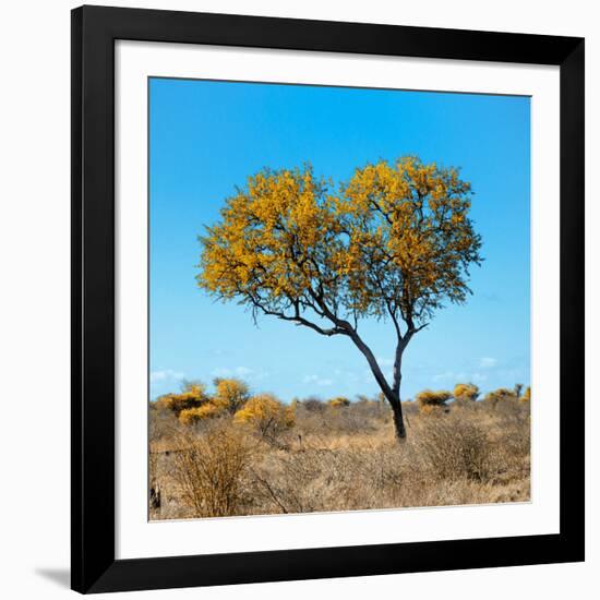 Awesome South Africa Collection Square - Green Tree Heart-Philippe Hugonnard-Framed Photographic Print