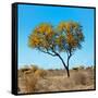 Awesome South Africa Collection Square - Green Tree Heart-Philippe Hugonnard-Framed Stretched Canvas