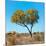 Awesome South Africa Collection Square - Green Tree Heart-Philippe Hugonnard-Mounted Photographic Print