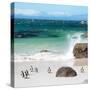 Awesome South Africa Collection Square - Group of Penguins at Boulders Beach II-Philippe Hugonnard-Stretched Canvas