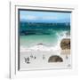 Awesome South Africa Collection Square - Group of Penguins at Boulders Beach II-Philippe Hugonnard-Framed Photographic Print