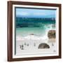 Awesome South Africa Collection Square - Group of Penguins at Boulders Beach II-Philippe Hugonnard-Framed Photographic Print