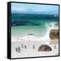 Awesome South Africa Collection Square - Group of Penguins at Boulders Beach II-Philippe Hugonnard-Framed Stretched Canvas