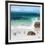 Awesome South Africa Collection Square - Group of Penguins at Boulders Beach II-Philippe Hugonnard-Framed Photographic Print