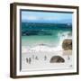 Awesome South Africa Collection Square - Group of Penguins at Boulders Beach II-Philippe Hugonnard-Framed Photographic Print