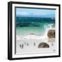 Awesome South Africa Collection Square - Group of Penguins at Boulders Beach II-Philippe Hugonnard-Framed Photographic Print