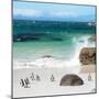 Awesome South Africa Collection Square - Group of Penguins at Boulders Beach II-Philippe Hugonnard-Mounted Photographic Print