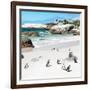 Awesome South Africa Collection Square - Group of Penguins at Boulders Beach III-Philippe Hugonnard-Framed Photographic Print