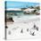 Awesome South Africa Collection Square - Group of Penguins at Boulders Beach III-Philippe Hugonnard-Stretched Canvas