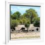 Awesome South Africa Collection Square - Herd of Buffalos-Philippe Hugonnard-Framed Photographic Print