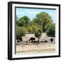 Awesome South Africa Collection Square - Herd of Buffalos-Philippe Hugonnard-Framed Photographic Print
