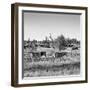 Awesome South Africa Collection Square - Herd of Zebra B&W-Philippe Hugonnard-Framed Photographic Print