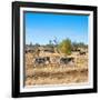 Awesome South Africa Collection Square - Herd of Zebra-Philippe Hugonnard-Framed Photographic Print