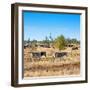 Awesome South Africa Collection Square - Herd of Zebra-Philippe Hugonnard-Framed Photographic Print