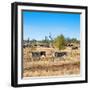 Awesome South Africa Collection Square - Herd of Zebra-Philippe Hugonnard-Framed Photographic Print