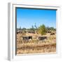 Awesome South Africa Collection Square - Herd of Zebra-Philippe Hugonnard-Framed Photographic Print