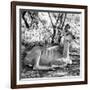 Awesome South Africa Collection Square - Impala Antelope II-Philippe Hugonnard-Framed Photographic Print