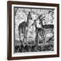 Awesome South Africa Collection Square - Impala Family B&W-Philippe Hugonnard-Framed Photographic Print