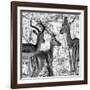 Awesome South Africa Collection Square - Impala Family II B&W-Philippe Hugonnard-Framed Photographic Print