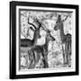 Awesome South Africa Collection Square - Impala Family II B&W-Philippe Hugonnard-Framed Photographic Print