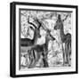 Awesome South Africa Collection Square - Impala Family II B&W-Philippe Hugonnard-Framed Photographic Print