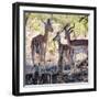 Awesome South Africa Collection Square - Impala Family-Philippe Hugonnard-Framed Photographic Print