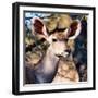 Awesome South Africa Collection Square - Impala Portrait II-Philippe Hugonnard-Framed Photographic Print