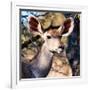 Awesome South Africa Collection Square - Impala Portrait II-Philippe Hugonnard-Framed Photographic Print