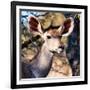 Awesome South Africa Collection Square - Impala Portrait II-Philippe Hugonnard-Framed Photographic Print