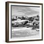 Awesome South Africa Collection Square - Landscape of Boulders Beach - Cape Town B&W-Philippe Hugonnard-Framed Photographic Print