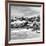 Awesome South Africa Collection Square - Landscape of Boulders Beach - Cape Town B&W-Philippe Hugonnard-Framed Photographic Print