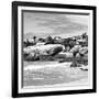 Awesome South Africa Collection Square - Landscape of Boulders Beach - Cape Town B&W-Philippe Hugonnard-Framed Photographic Print