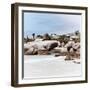 Awesome South Africa Collection Square - Landscape of Boulders Beach - Cape Town II-Philippe Hugonnard-Framed Photographic Print