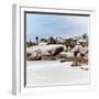 Awesome South Africa Collection Square - Landscape of Boulders Beach - Cape Town II-Philippe Hugonnard-Framed Photographic Print